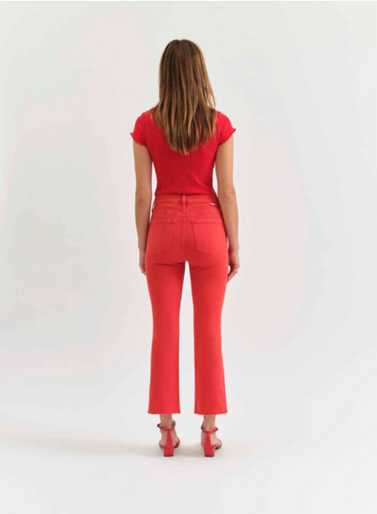 Shy Girl Raw Cut High Rise- Cherry