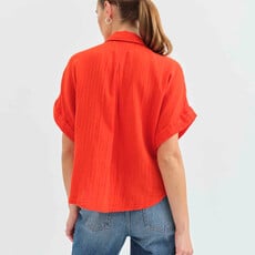 Kate Button Down